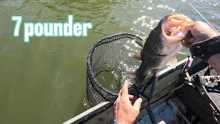 Topwater FROGS ONLY bass fishin! (7pounder) bonus giant carp bow fishing!!!