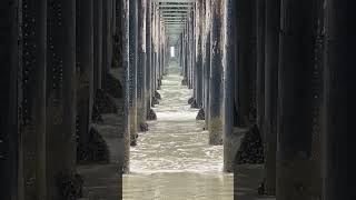 OCEANSIDE ##Ocean #california #beach #sandiego #trippy #water #waves #punkrock