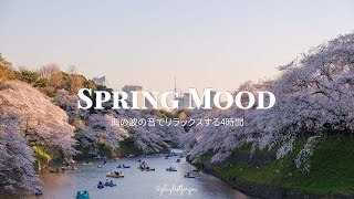 [ playlist ] 【playlist】ゆったり流れる時間を楽しむ洋楽プレイリスト | spring mood | 洋楽 Playlist