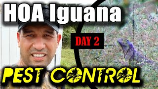 HOA Pest Control, Day 2 |  Pest Control | Orion the Iguana Hunter