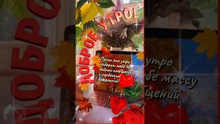 🍁💞🌹 ДОБРОЕ УТРО#ПУСТЬ УТРО ПОДАРИТ МАССУ ДОБРЫХ НОВОСТЕЙ#ПОЖЕЛАНИЕ#RESPECT  #SHORTS 💞🌞🌹