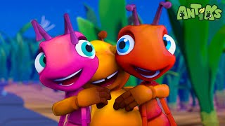 Meet The NEW ANT! | Antiks 🐜 | Action Cartoons For Kids