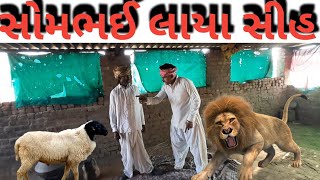 સોમભઈ લાયા સીહ// Sombhai by lion comedy video/ Gujarati comedy_ comedy #jaybabaricomedy