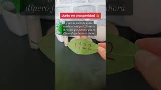 Atraer dinero inesperado en tes mes de junio con este sencillo ritual de abundancia