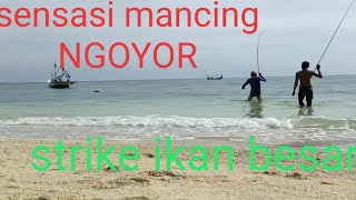 Sensasi Ngoyor di Markas Baronang - Rabbitfish #Fishing Techniques on the reef