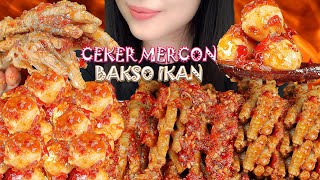 AUTO NGILERR ‼ ASMR CEKER MERCON LUNAK BAKSO IKAN | ASMR INDONESIA