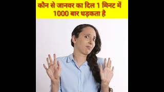 कौन से जानवर का दिल 1 मिनट में 1000 बार धड़कता है 😱😱 fact short video short fact #fact #facts #funny