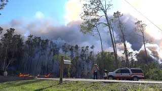 Briarcliff Brush Fire