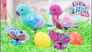 Little Live Pets Light Up Songbirds & Flutter Wings Butterflies #AD