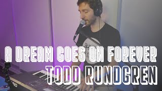 🎹 A Dream Goes On Forever — Todd Rundgren