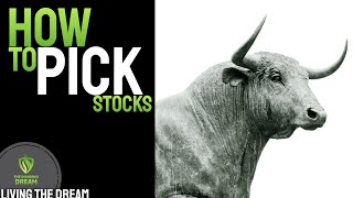 How I Pick My Stocks - Investing for Beginners | Key Metrics