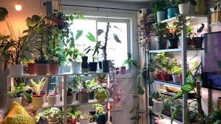 PLANT ROOM UPDATE!!!