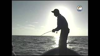 ISLA HOLBOX PESCANDO CON PACO JR Y ALEJANDRO VEGA CRUZ.