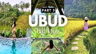 Bali | Things to do in UBUD (part 3) (rice terraces, pool club, bamboo airbnb villa) - travel vlog