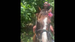 Horseback Riding and Swim in Jamaica