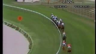 Old hurdle race at Moonee Valley