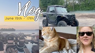 June Vlog: New Toy, Lazy Sunday, and Chores