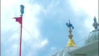 Desh hove Pardesh hove o baah nhi shadda || whatsapp status video || #waheguru #blessed