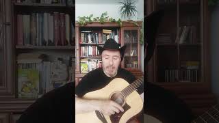 Nie Brooklinski most, Stachura cover