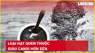 Loại hạt quen thuộc giàu canxi hơn sữa | Báo Lao Động