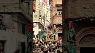 28 Saffar Mochi Gate Lahore Taboot Imam Hassan AS #matami #mochigate #hassan #lahore #taboothassan