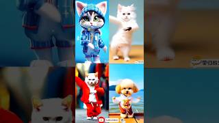 what a cute cat dance 😂 patli kamar mori 😁😋 #cat #funny #dance #youtubeshorts