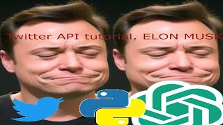 Twitter Sentiment Analysis of Elon Musk in Python: Tutorial with the Twitter API and OpenAI