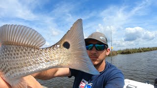 Catching a poor mans inshore slam in Pointe-Aux-Chenes {Redfish, Speckled Trout and Black Drum}