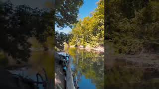 EAST TORONTO DON RIVER TRAIL #shorts #toronto #shortsvideo #torontolife #reels #trail #eastdontrail