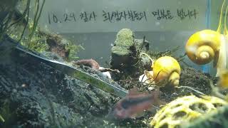 [1029참사 추모 어항방송] Aquarium Live - 2022.12.23 Fri KST