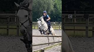 Showjumping Jimmy #horse #equestrian #horseriding