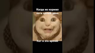 мем #приколы #мем #кот #memes #mem #cat #shorts #страх