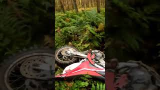 Slipy Log that. 🤣 #crash #crf250l #crf