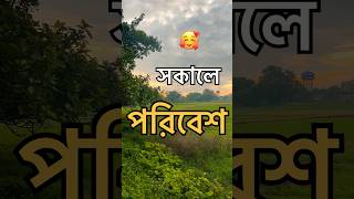 সকালে পরিবেশ 🥰 feel this song #shorts #shortsvideo #shortsfeed #nature