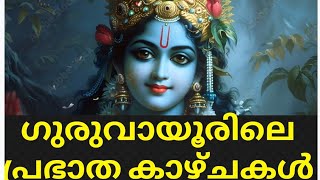 തുളസിമാല അണിഞ്ഞു ഭഗവാൻ | ഗുരുവായൂർ കാഴ്ചകൾ #Krishna #guruvayoor #trendingvideo #viralvideo #fyp #yt