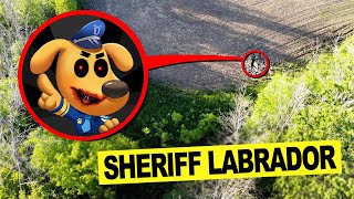 DROHNE überwacht SHERIFF LABRADOR im FREIZEITPARK um 3 UHR mittags !!