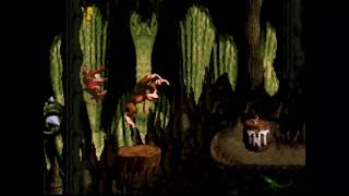 Let's Play Donkey Kong Country (Parte 9)