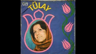 TÜLAY ZAFER-1975-AĞLAMA YAR-ŞU GÖNLÜME BİR-YOL BANA DAĞLAR-