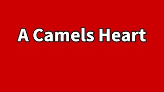 A Camels Heart | Cheating Stories Reddit