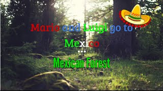 Mario and Luigi go to Mexico pt 3