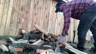 Splitting American Elm by hand. #firewood