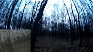 Vortex 285 - Another slow flight in woods (With dvr)