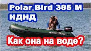 Надувная лодка ПВХ Polar Bird 385М НДНД, обзор с мотором 15 л.с.