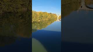 A Magical autumn colors|beautiful  scenery #shortvideo #autumncolors #satisfying