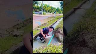 ভিডিও করা শখ || video kora shok || popular video dekhte chai || #shorts #vairal short #video