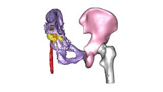 Case study revision case video