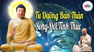 Phât Dạy Rất Hay, Tu Dưỡng Bản Thân, Sống Đời Tỉnh Thức - Audio Thanh Tịnh Tâm