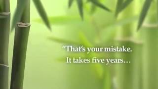 Motivational Video - The Chinese Bamboo