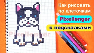 Как рисовать по клеточкам Собаку Щенка Бульдога 🐾 Простые рисунки How to Draw Dog Puppy Pixel Art