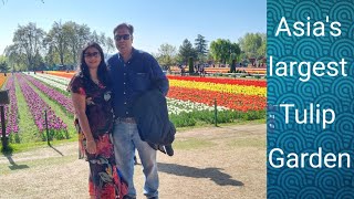 Tulip Garden Srinagar🌷| Largest Tulip Garden of Asia | Indira Gandhi Memorial Tulip Garden,Kashmir |